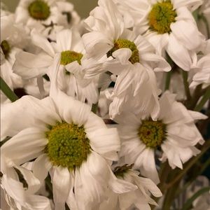 Meet your Posher, Jenny